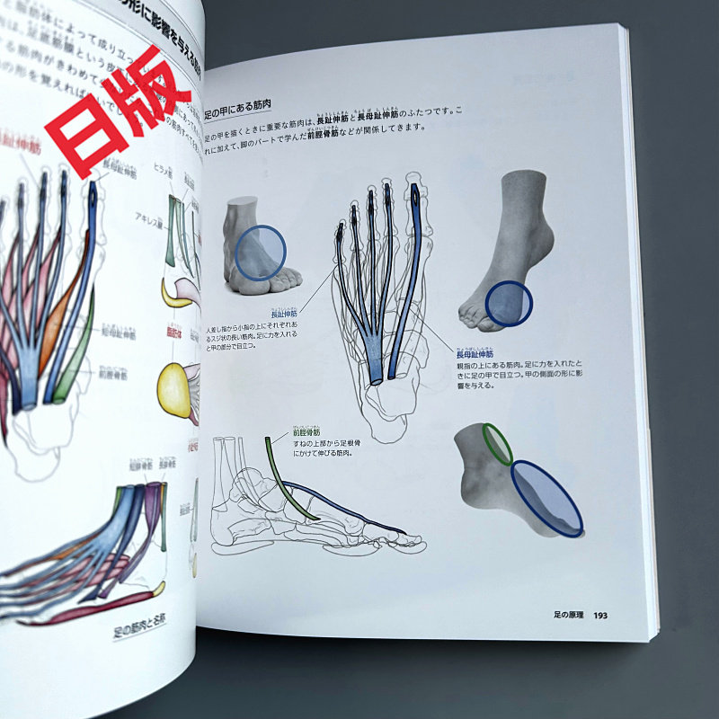 De basis van het tekenen van h - Japanese Manga Drawing Tutorial Book recensie en prijs