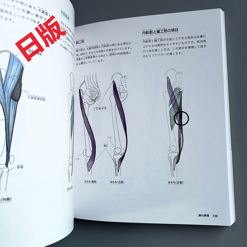 De basis van het tekenen van h - Japanese Manga Drawing Tutorial Book recensie en prijs