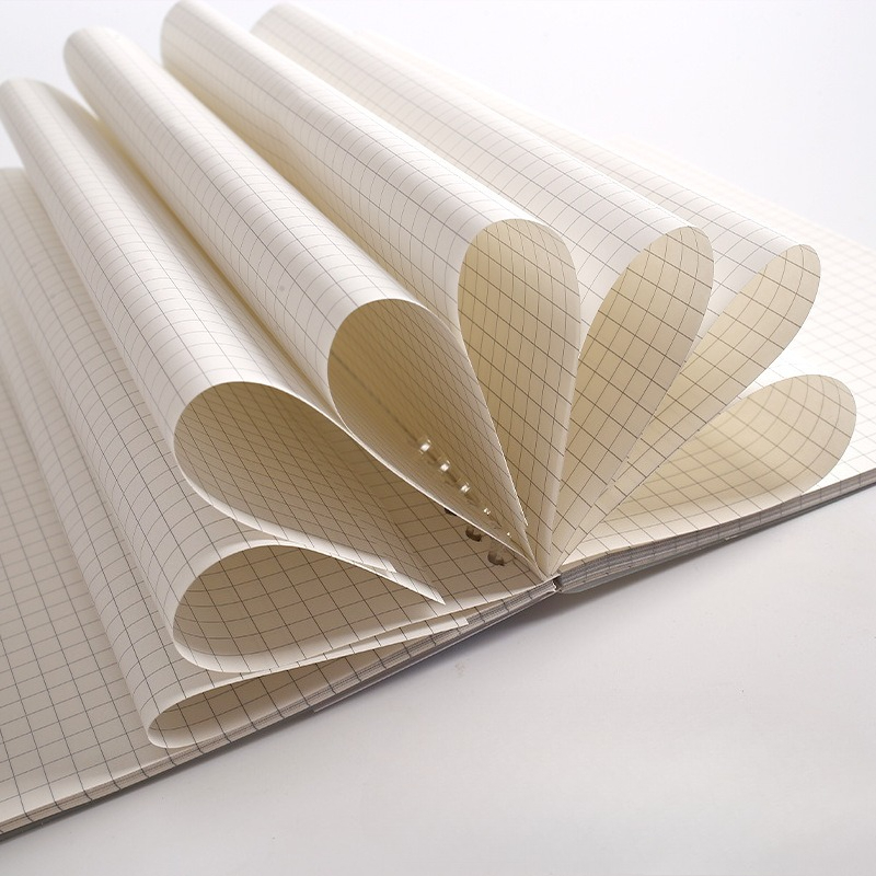 A4 B5 A5 losbladig notitieboek - A5 Spiral Dotted Grid Notebook recensie en prijs